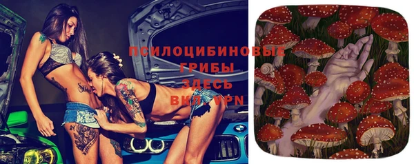 герыч Алексин